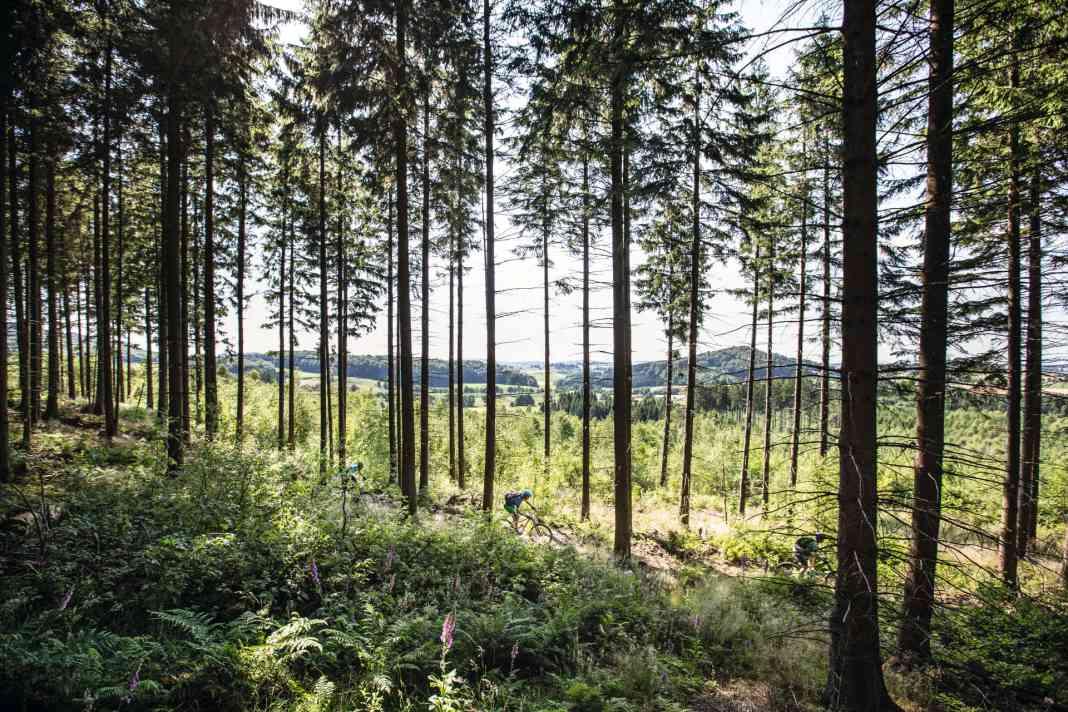 Im Sauerland warten über 1000 Gipfel darauf, von Bikern erstürmt zu werden. Und schon bald soll rund um Willingen, Winterberg und Brilon ein Netz aus 600 Kilometern Trails geflochten werden. Damit könnte das Upland zum Mekka für Mountainbiker werden.