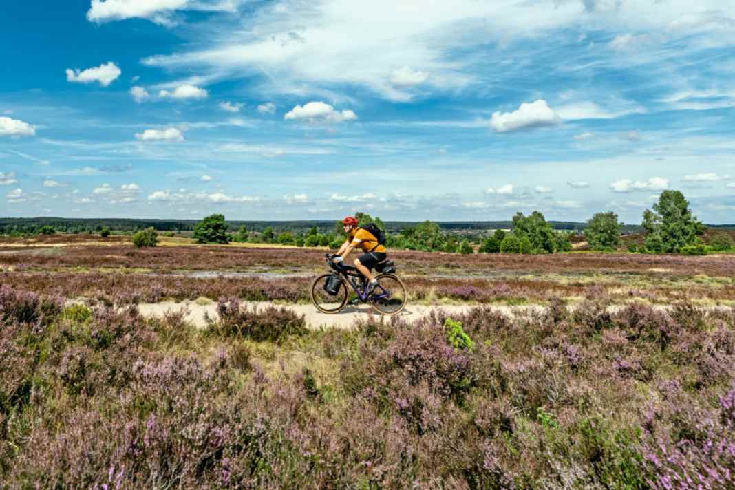Ein Traum in Lila: der Naturpark Lüneburger Heide zur Blütezeit.