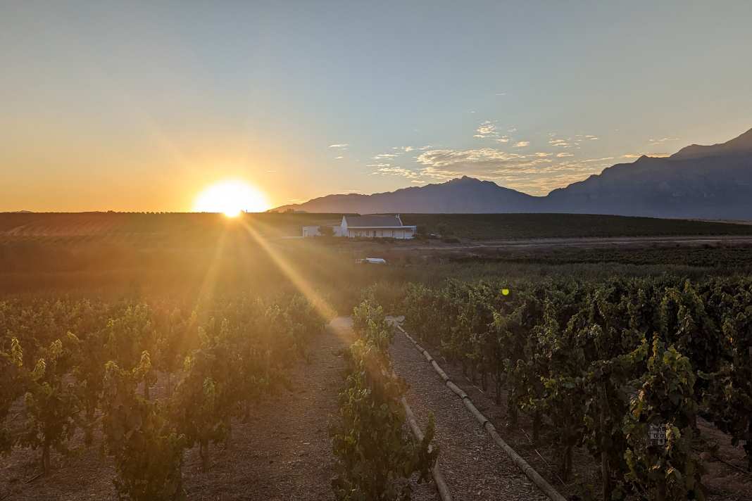 Sonnenaufgang über Saronsberg, dem Start und Zielort der 2. Etappe der Cape Epic.