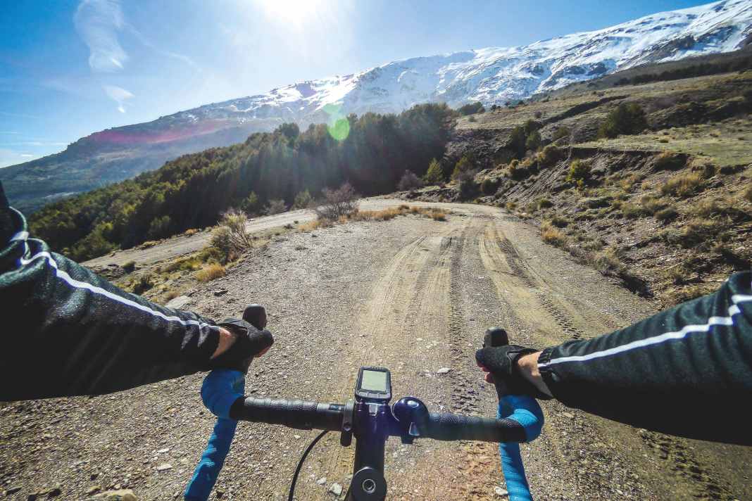 Fahrradnavis im Test: Welcher Radcomputer führt am zuverlässigsten zum Ziel?