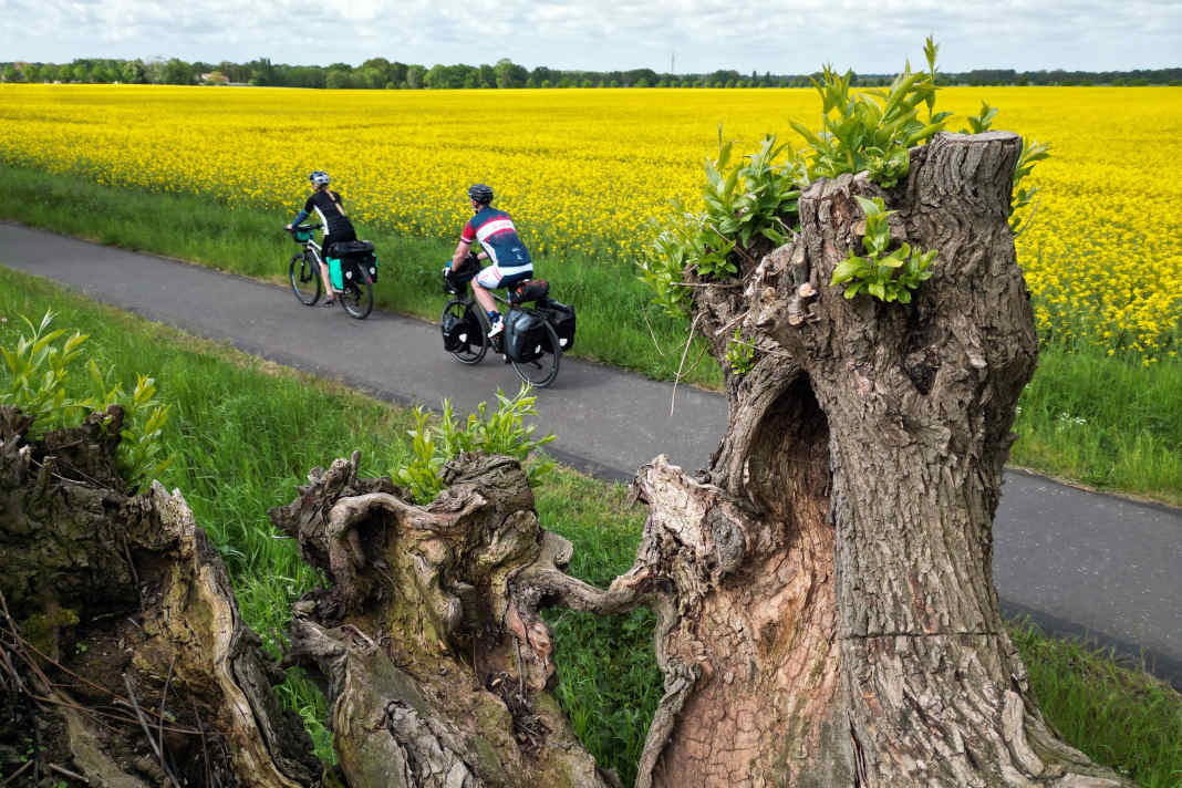Natur pur, viel Ruhe, wenig Verkehr. Die Fontane-Radroute im Ruppiner Seenland führt durch leuchtende Rapsfelder.
