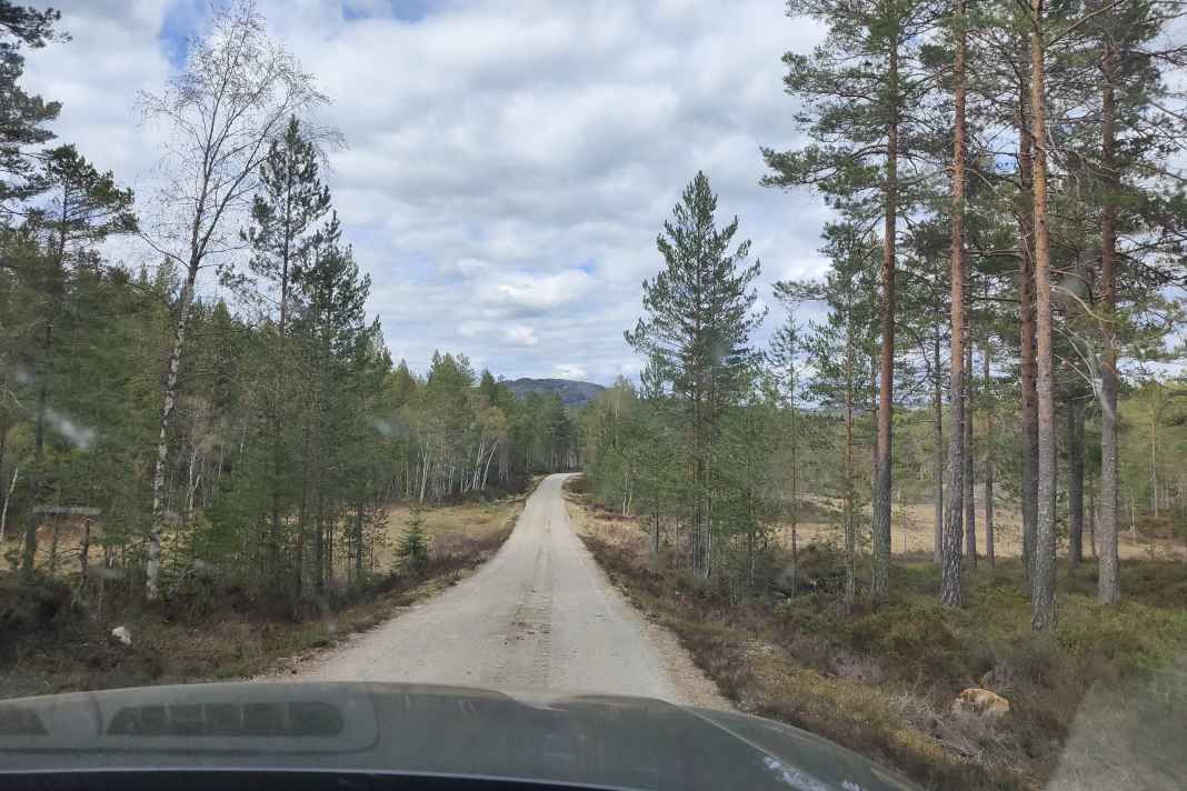 Mountainbiken in Norwegen: Das war mein Ziel und das Canvas Camp des Herstellers Norrona, in dem ich ein Wochenende verbringen konnte.