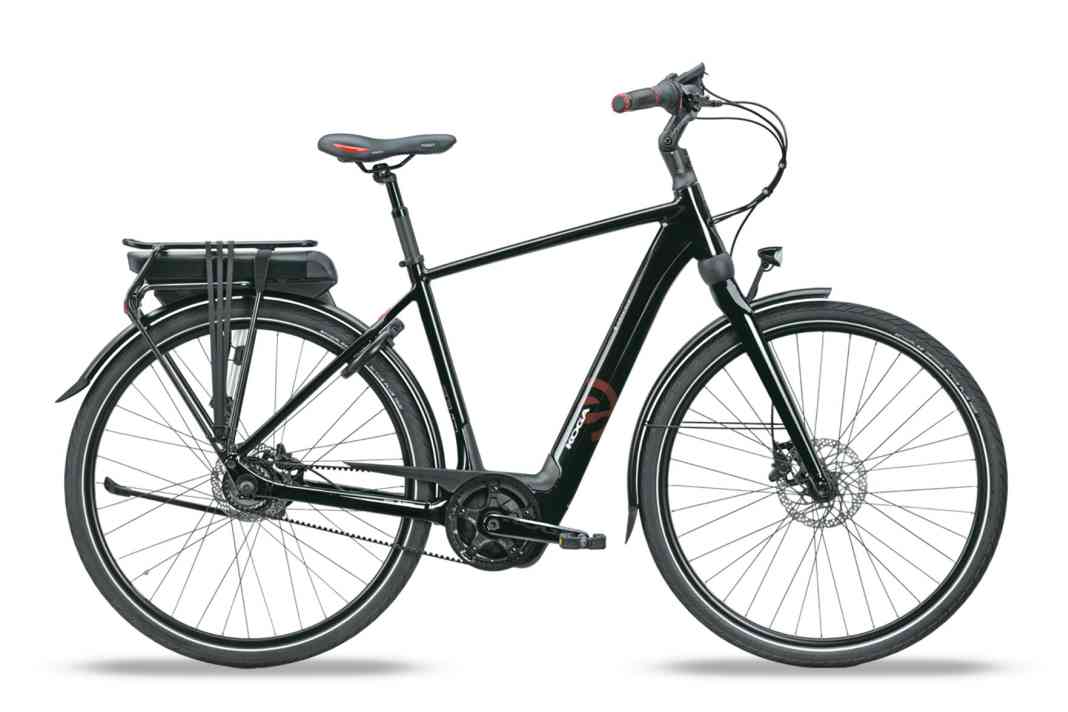Das Koga E-Nova Evo