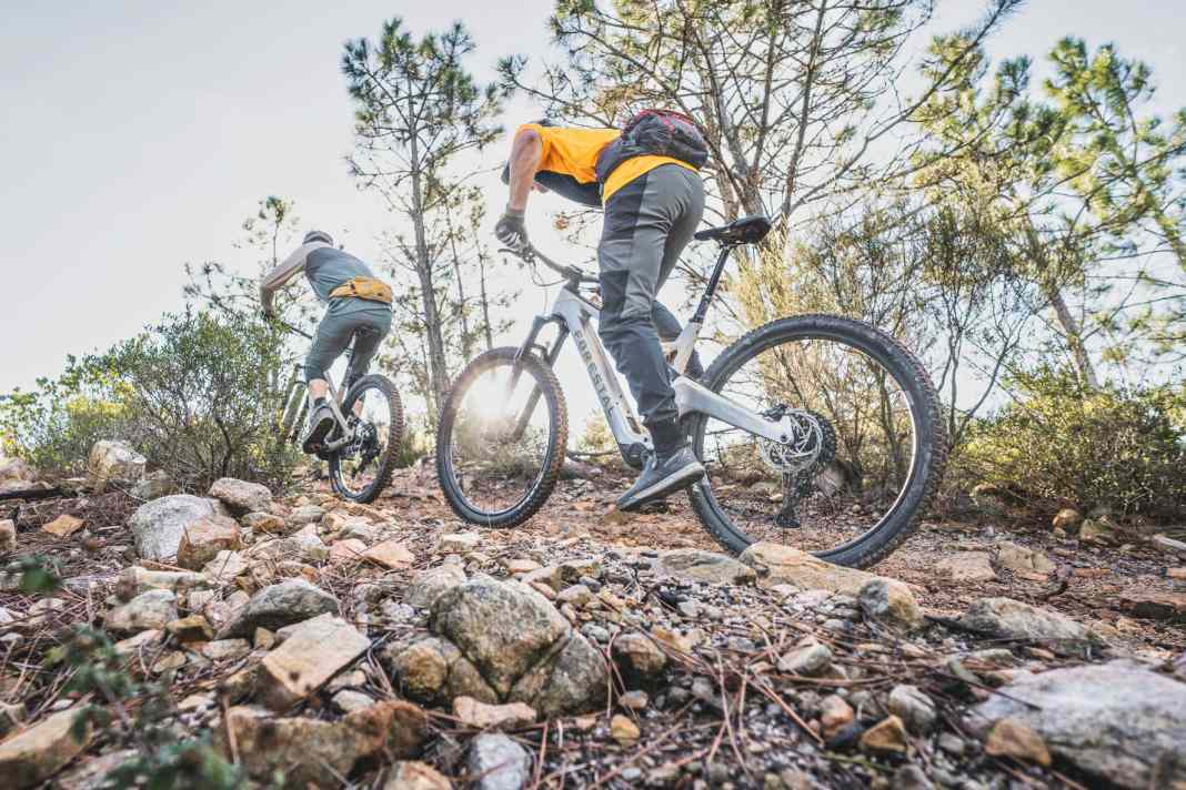 Das Forestal Cyon Halo fährt im Test vorne mit.