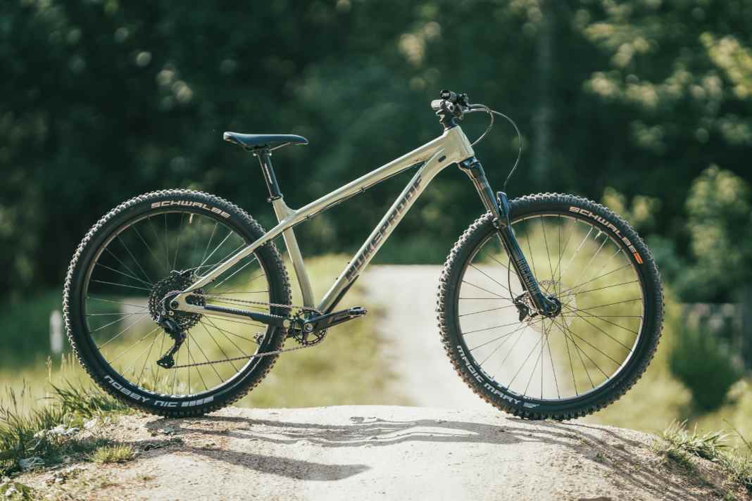 Nukeproof Scout 290 Race - 1749 Euro | 14,1 kg | 139 mm | 29"