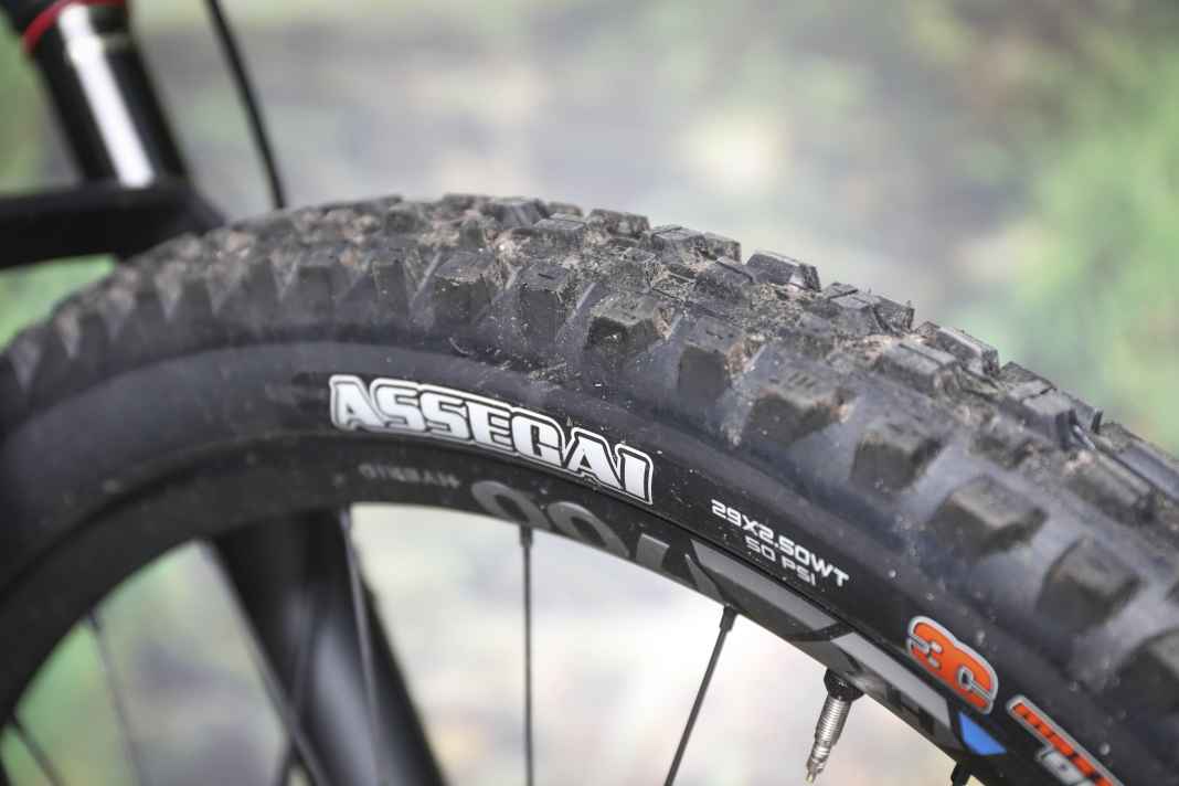 Fels in der Brandung: Der Maxxis Assegai mit weichem Maxxgrip-Gummi am Vorderrad bietet viel Traktion und gutmütiges Kurvenverhalten. Das gibt Sicherheit!