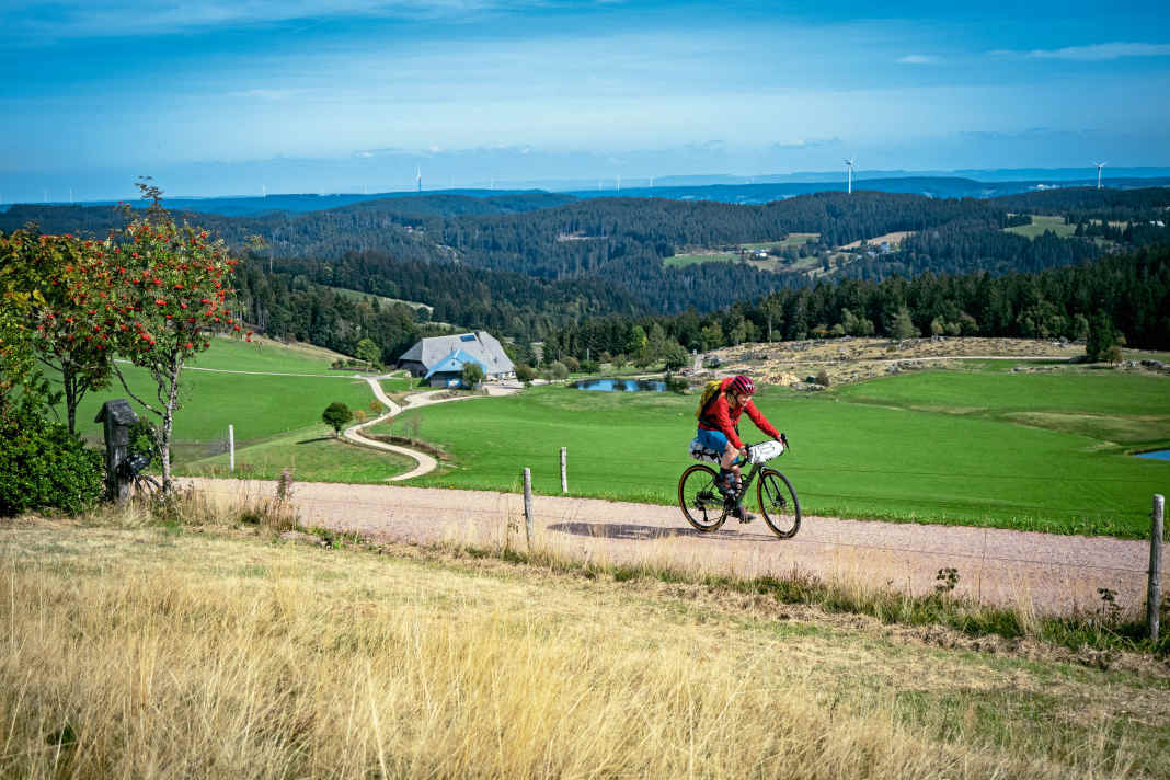 Knackige Anstiege und rasante Abfahrten erwarten die Radfahrer auf der Gravelbike-Tour durch den Schwarzwald