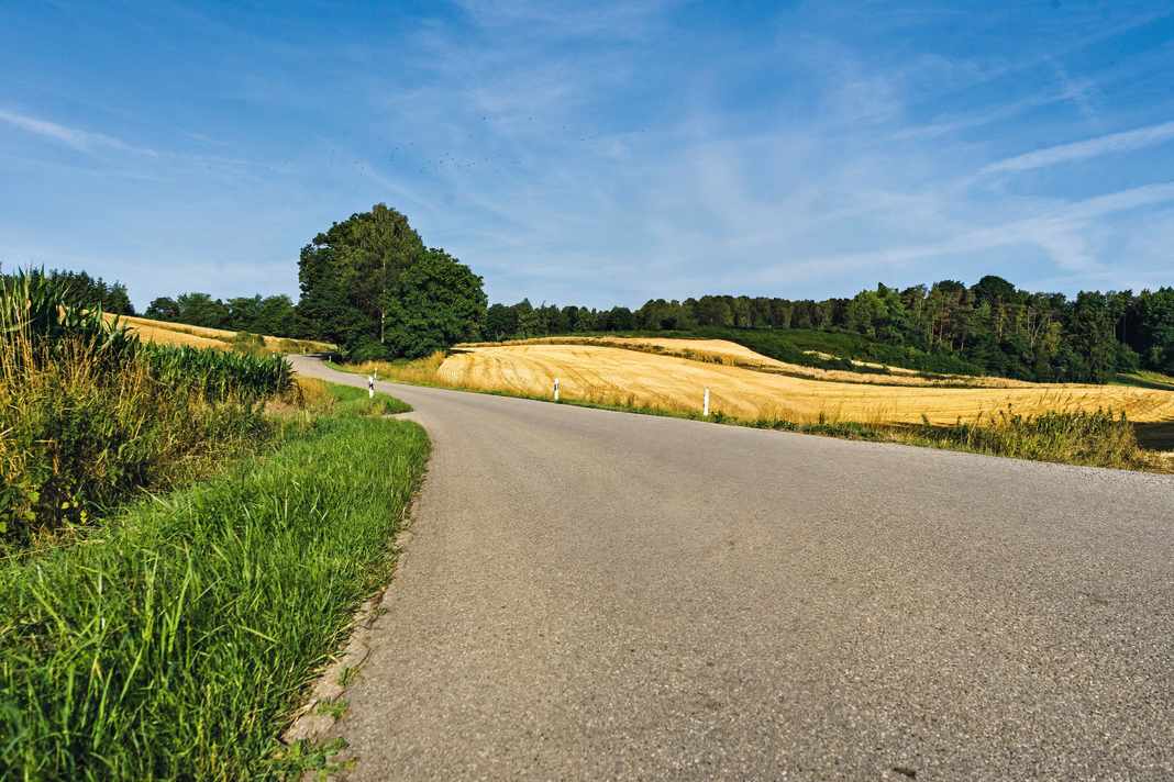 Rennrad-Kaufberatung: Welcher Typ passt zu mir?