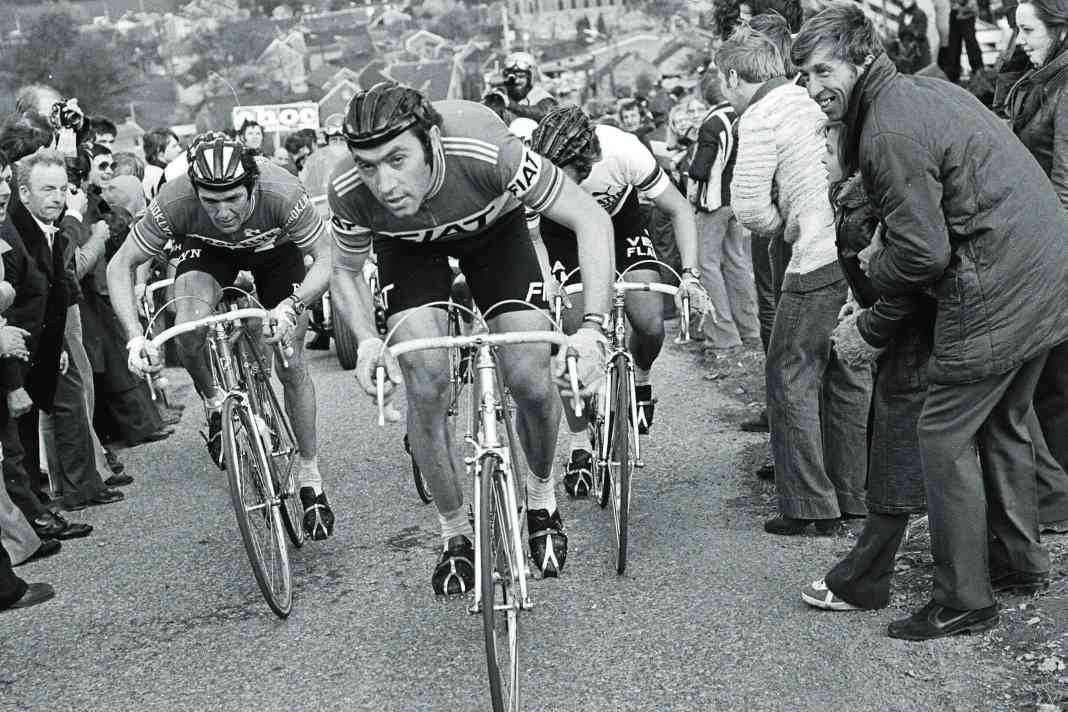 Eddy Merckx - eine Hommage zum 80. Geburtstag
