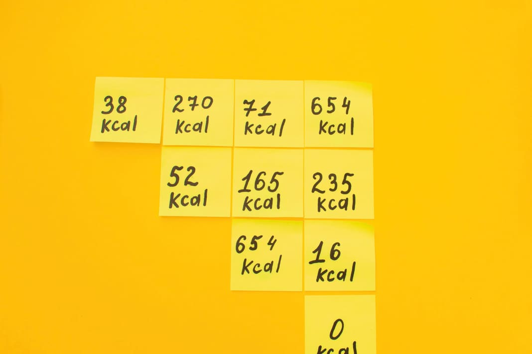 Ernährung im Radsport: Welche Vor- und Nachteile bietet Kalorientracking?