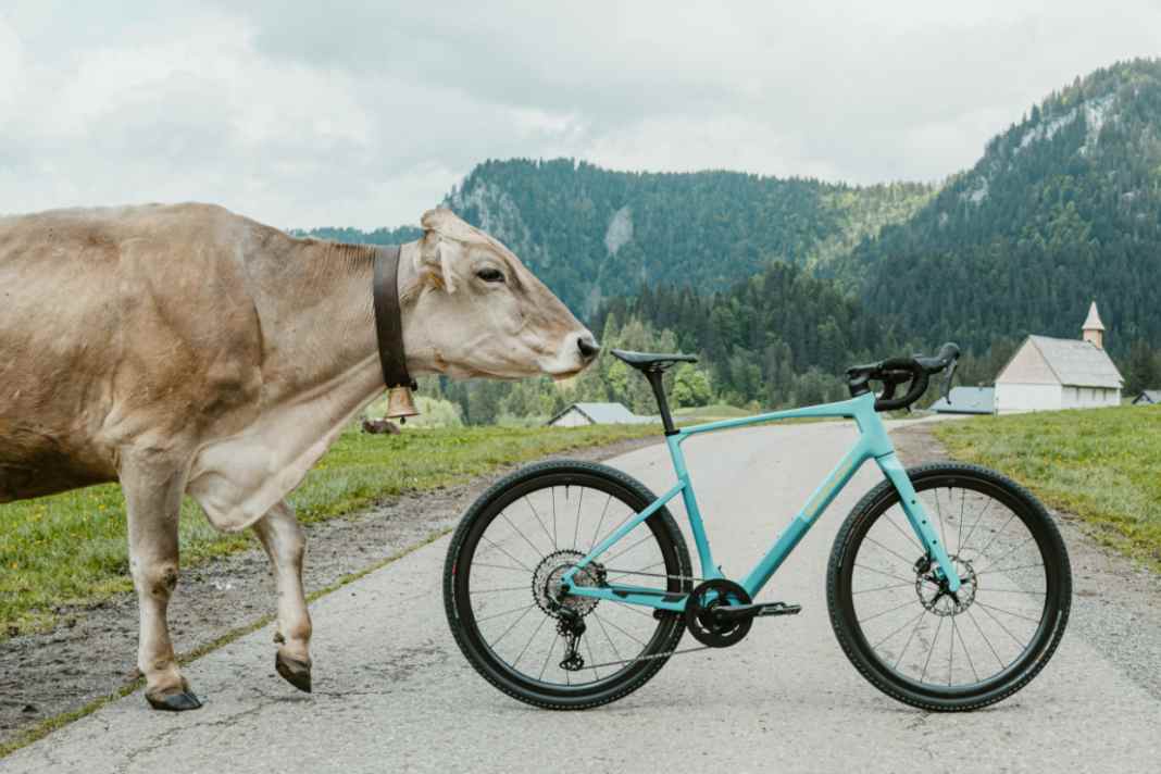 Simplon GRID :eLight