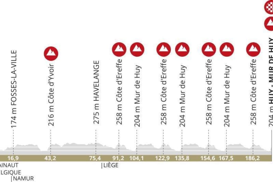 Das Höhenprofil des Herrenrennens des Fleche Wallonne 2024