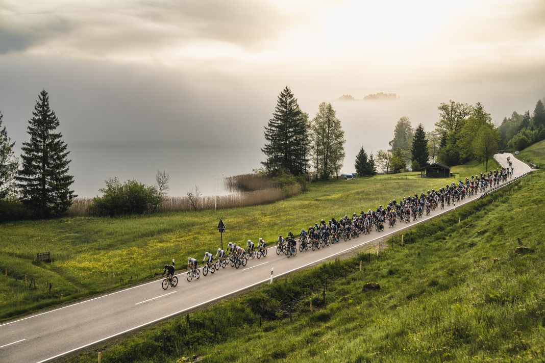 Morgenstimmung im Oberallgäu
