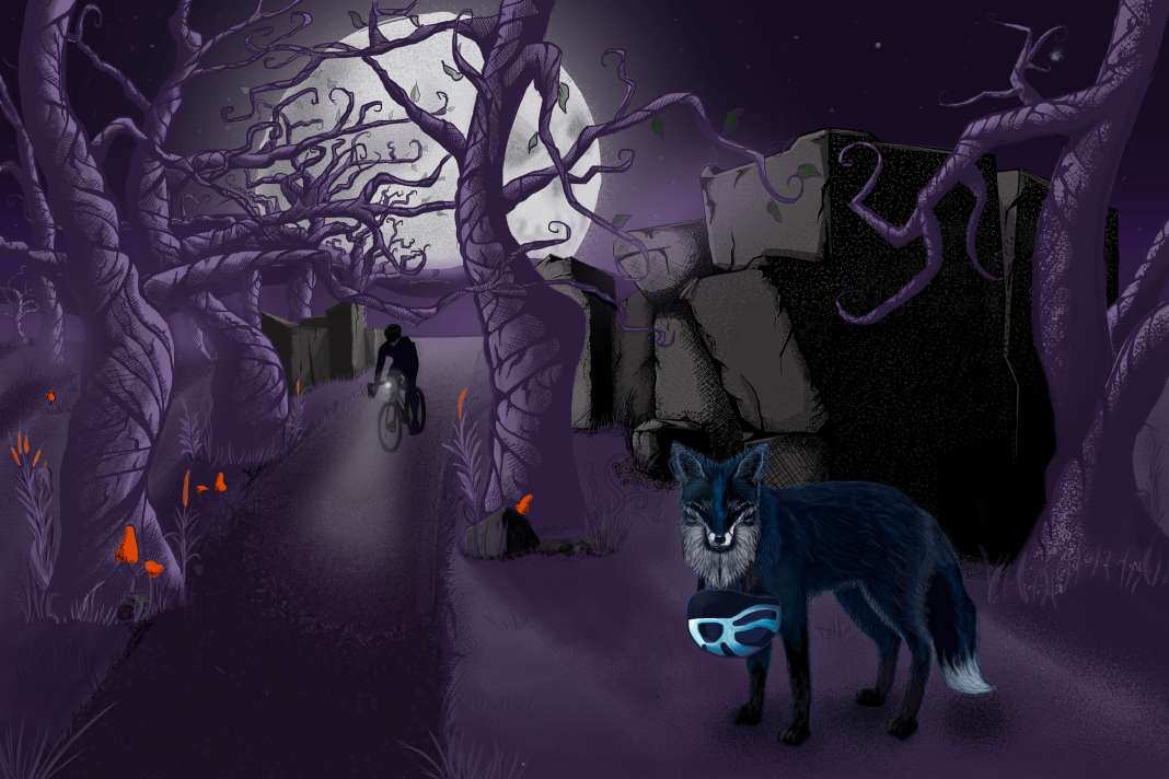 Ende August steigt eine Gravel-Sause im Pfälzerwald. Der Gravel Club veranstaltet das Gravel-Camp Dreifels, wir verlosen Tickets!