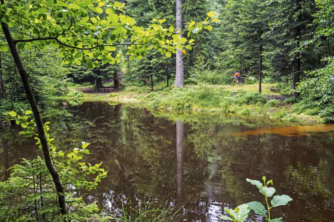 Radreise Nordvogesen: Ein idyllischer Kurztrip mit dem Bike.
