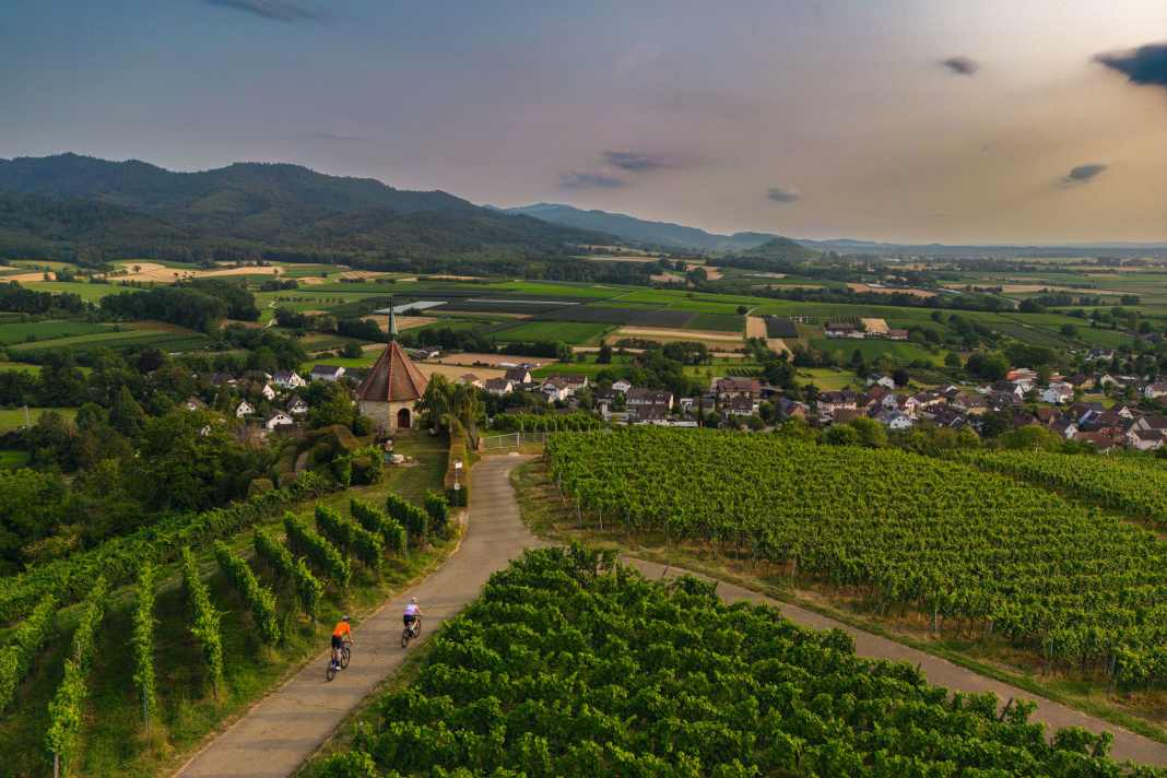 Kurze Anstiege führen durch die Weinberge des Markgräflerlandes. Wer länger klettern will, ­ wird östlich davon im Schwarz­wald fündig
