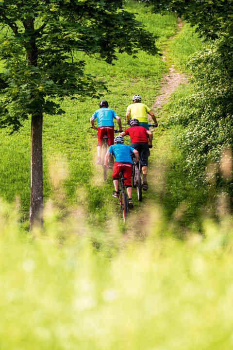   Vorteil Hardtail: kein Wippen und direkter Vortrieb bergauf.