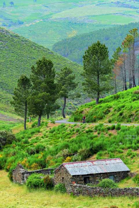 Einsames Centro: Auf den Straßen durch die Serra da Estrela begegnet einem über Stunden keine Menschenseele.