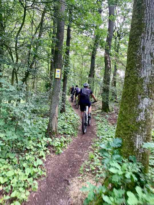Der erste Trail des Tages nahe der Klinik am Steigerwald.
