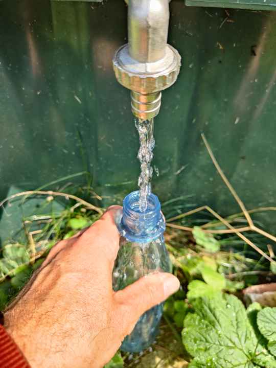 Wir schicken Wasser aus der Regentonne durch den Lifestraw-Filter, das zwar recht klar ist, aber sicher nicht frei von Keimen und Kleinstlebenwesen.