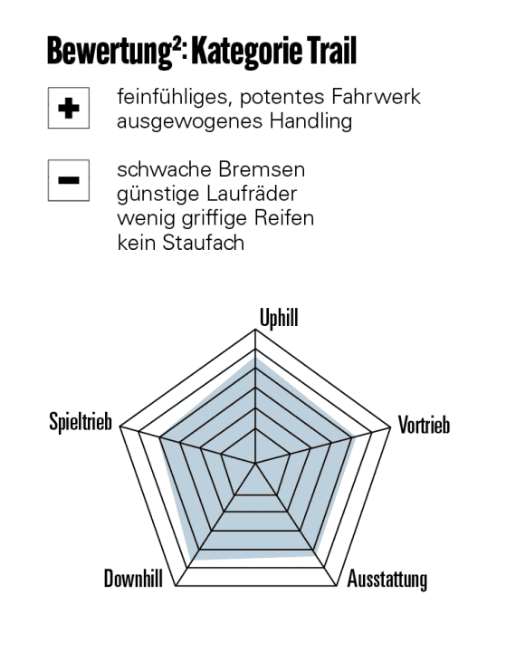 Bewertung Rocky Mountain Element (2025)