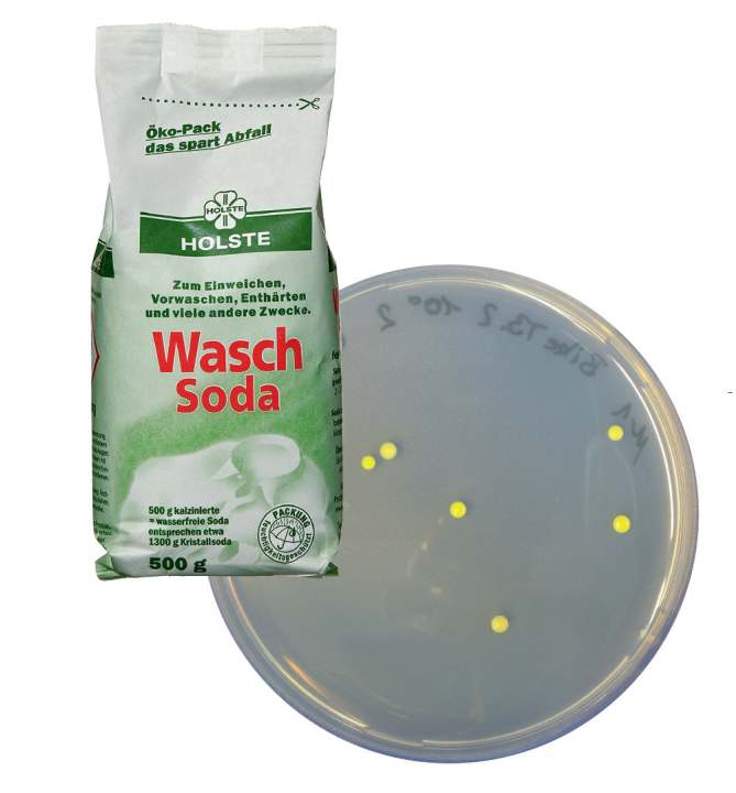 Waschsoda