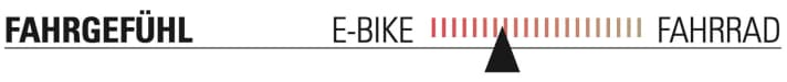 Orbea EP8 RS/Shimano