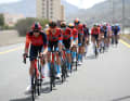 Das Peloton bei der Anfahrt zum Jebel Jais