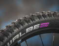 Lila steht für Klebegummi! Ultrasoft ist die weichste und damit griffigste Mischung im Schwalbe-Portfolio. Am Vorderrad des Nduro bringt das viel Grip und Fahrsicherheit. Bei der Karkasse greift Haibike vorne nur zu Supertrail. An einem Bike mit diesem Abfahrtsanspruch könnte gerne mehr auf Pannenschutz gesetzt werden.