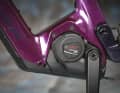 Der beliebte Bosch Perf. CX liefert 85 Newtonmeter.