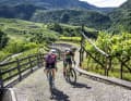 Auf den steilen, holprigen  Rampen durch die Weinberge im Cembra-Tal freut sich auch ein ehemaliger Olympia-Teilnehmer über  die sanfte E-Unterstützung am Gravelbike.
