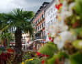 Ein Hauch Mittelmeer. Prächtige Blumen und Palmen schmücken den Hauptplatz in Lienz. Von hier starten die Sterntouren.