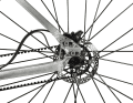 Verschiebbare Ausfallenden erlauben in Kombination mit einer Singlespeed-Nabe das Spannen des Gates-Riemens.