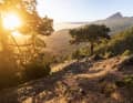 Keine Lust auf Winter! Stefan Schley und Philipp Folz überlassen Scheibe-Kratzen und Schnee-Schippen den anderen und flüchten auf die Sonnen-Trails von La Palma.