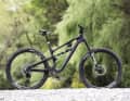 13,1 kg /140/130 mm / 29" / 8499 Euro / Carbon