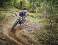 Fresh: Der Neuland-Trail in Immenstadt im Ostallgäu. Nur eins von vielen Projekten des Mountainbike Allgäu Vereins.