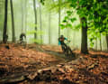 Legal Biken: Hier nahe Heidelberg.