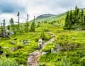 Kein Trail-Abschnitt gleicht dem anderen. Gefühlt verlängert das den Trail noch mal zusätzlich.