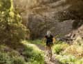 Nach der Wüste von Fuerteventura geht's auf der Nachbarinsel Gran Canaria weiter mit wildem Grün Gran Canarias Canyons.