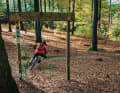 Schlangenpfädchen und Ritterstein-Trail verbinden sich auf der MI1 (Tour 4) zu einer zwei Kilometer langen Abfahrt.