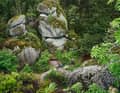 Sorgen für Britisch-Columbia-Flair im Fichtelgebirge: die Granitfels-Stapel im Wald.