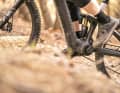 Erstmals wird es den ZF CentriX im Raymon Tarok an einem E-MTB zu kaufen geben. Wir haben den neuen Motor bereits über die Trails gescheucht.