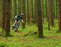 Grüner wird's nicht: Die Region Kelheim eröffnet Trailbikern eine große Spielwiese im Wald.