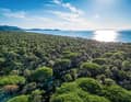 Meer, Pinienduft und das ganze direkt am Trail-Berg mit Shuttle: Punta Ala hat längst alles auf Mountainbiker ausgerichtet.