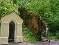 Der Wachsende Felsen von Usterling steht auf der  Liste der „bedeutendsten Geotope Deutschlands“.