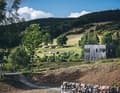 Forest Lodges: In Glentress kann man auch direkt am Trail-Eingang übernachten. Im WoMo oder in kleinen, einfachen Holzhütten, die im Inneren mit luxuriöser Ausstattung überraschen.
