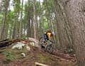 Rupert-Trail im Super-Bikespot Squamish: Makke merkt sich: natürliche Hindernisse nicht wegräumen - einbauen!