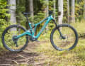 Forestal Siryon Neon