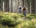 Topseller: Canyon, Conway, Radon, Scott und YT – fünf All Mountains um 6000 Euro. Welches schafft in der wichtigsten Klasse den besten Preis-Leistungs-Mix? Ab Seite 16 