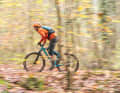 Leichter Carbon-Rahmen plus günstige Ausstattung: Geht das Konzept des Cube auf Winter-Trails auf? 